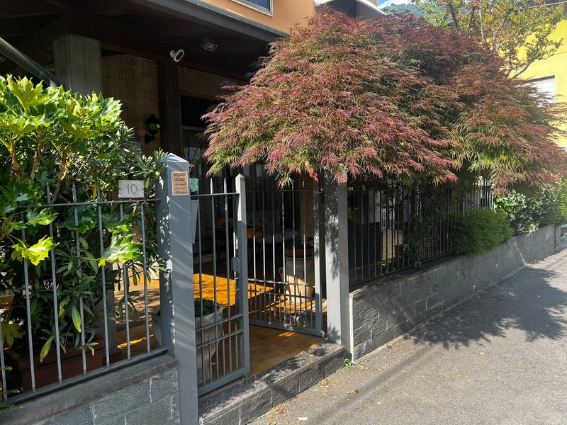 Il cancello d'ingresso dell'Albergo Milena con l'acero