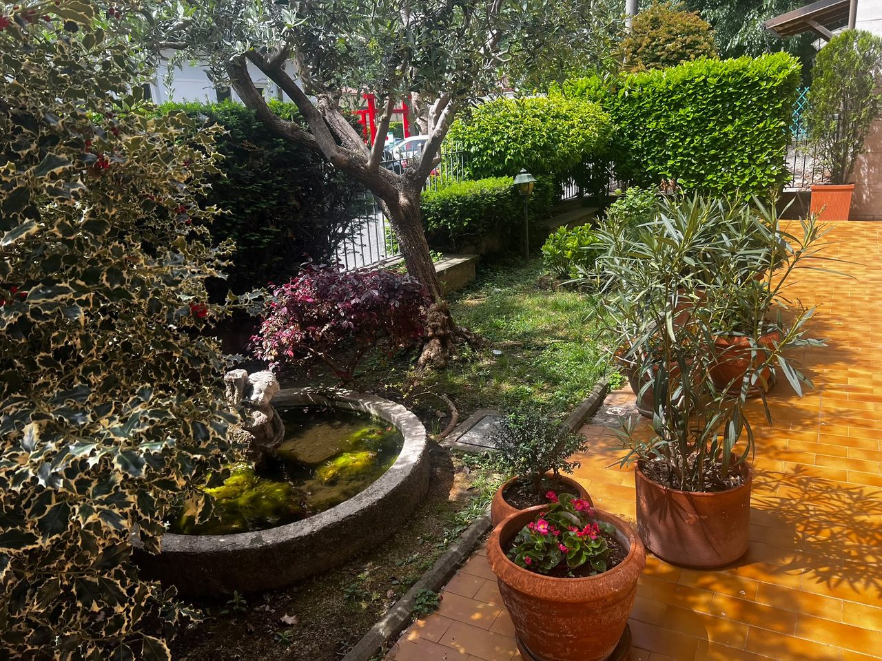 Il giardino dell'Albergo Milena con la fontana e l'ulivo